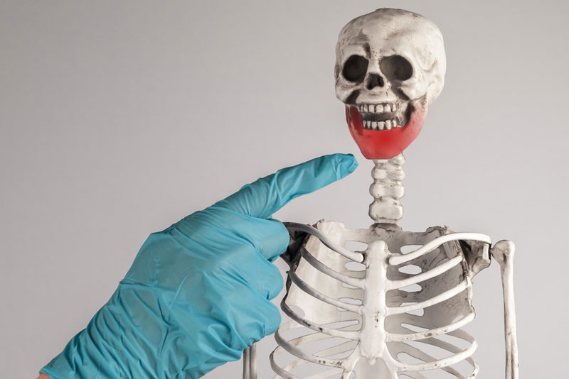 Dentist wearing blue gloves pointing at the lower jawbone on a human skeleton model, highlighting the area affected by jawbone resorption or bone loss